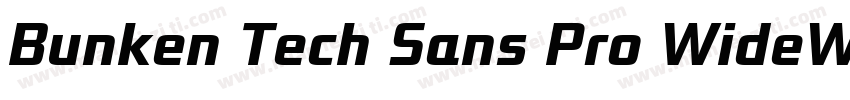 Bunken Tech Sans Pro WideW01SB字体转换
